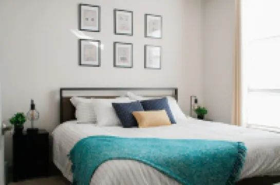 Convenient Downtown 1bd Apt-king bed-1Gb WiFi