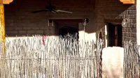 Authentic Tucson Experience: Mud Adobe Casita Nestled in Canyon Among Wildlife