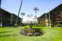 Lily's Kona Hideaway-Oceanfront & AC on Demand