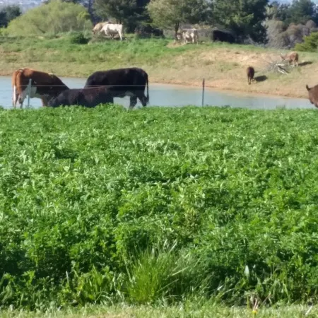 Entire Self Contained Suite, OffGrid Eco Farm Stay