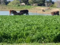 Entire Self Contained Suite, OffGrid Eco Farm Stay