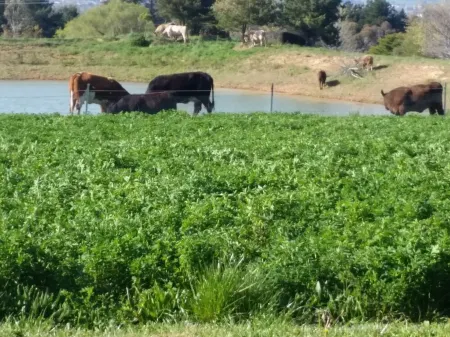 Entire Self Contained Suite, OffGrid Eco Farm Stay