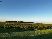 Cherry Hill Farm of Dreams - A wonderful home close to everything Hotels in Coloma charter Township