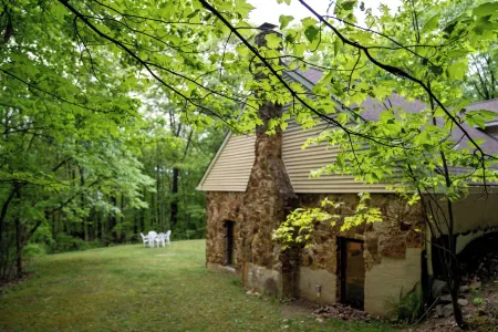 Quiet Cottage on Five+ Acres of Woods Close to All That BerkeleySprings Offers