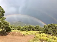 Mountain Getaway Retreat - Cozy & Quiet Loft Apartment