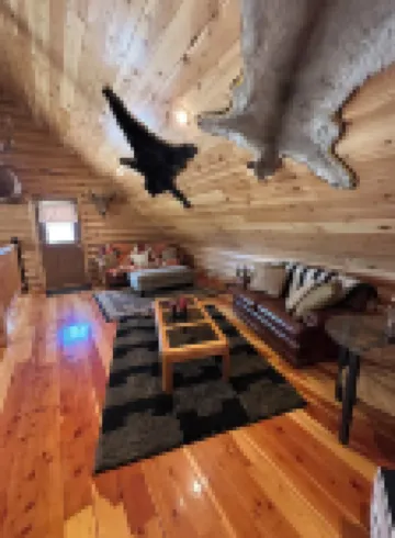 Cozy cabin in beautiful Meeker, CO-10 miles from town, perfect for OHV travelers