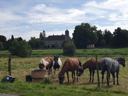 Ferienwohnung im Schönen Weserbergland, Direkt an der Weser