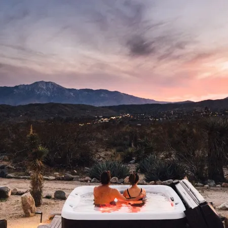The Mallow House Secluded Mid-Century Ranch with Desert Views near Joshua Tree