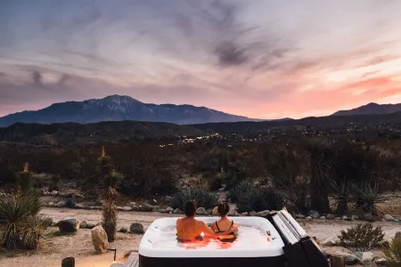 The Mallow House Secluded Mid-Century Ranch with Desert Views near Joshua Tree