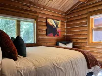 Cozy, historic cabin in the woods, X-ski in/out, minutes to shops & restaurants