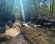 Little Black Aframe by the Brook- 5m to Waterfall Hotels in Thurman
