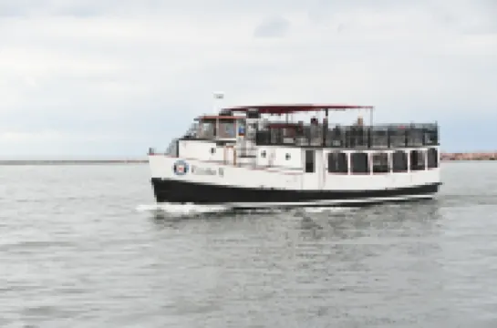 Holiday House! Fully Renovated House, Minutes to EVERYTHING, Pet Friendly!