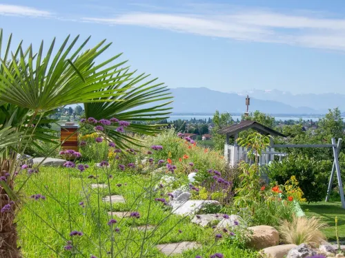 TANTE IDA'S apartment with unique lake and mountain views Hotel a Bodolz