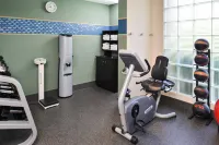 Hampton Inn Staunton - Gym
