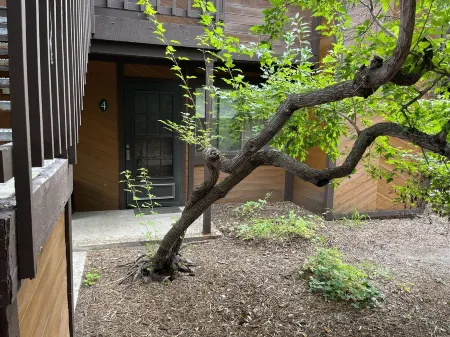 Cozy Canyons Condo, walkable to Cabriolet Gondola! Washer and dryer in unit.