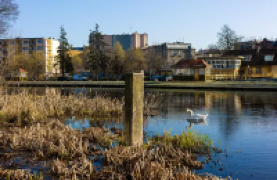 Rio 3 Widok na Bydgoszcz Nordic Heaven