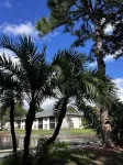 "The Salty Sugaree"-6 miles to beach, 1 mile to IMG, & multiple resort pools!