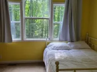 Cheerful 3-brd, 2 full bth cottage with DNR launch lake access on Chippewa Lake Hotels in Mecosta County