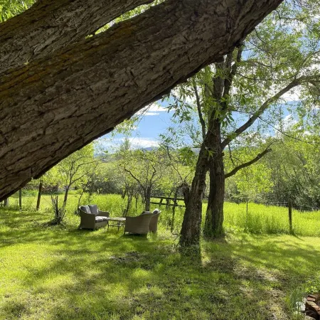 Pony, MT — Dogs & Horses OK — on Private Creek