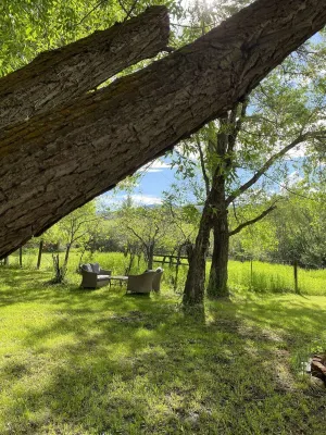 Pony, MT — Dogs & Horses OK — on Private Creek