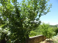 The Bonaguil lookout - a medieval island in the heart of the Bouriane forest