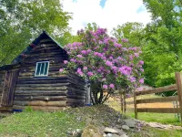 Cozy Cabin: Peaceful Haven in the Heart of Nature Hotels in Yancey County