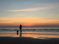 Hen Stabl - A charming 18th century stone character stables conversion