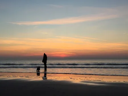 Hen Stabl - A charming 18th century stone character stables conversion Отели рядом с достопримечательностью «Шелл Айленд»