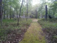 Spacious Custom Caseville home Steps 2 Beach/Woods