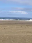 Charming beach bungalow with great beach view and easy beach access. - ビーチサイド