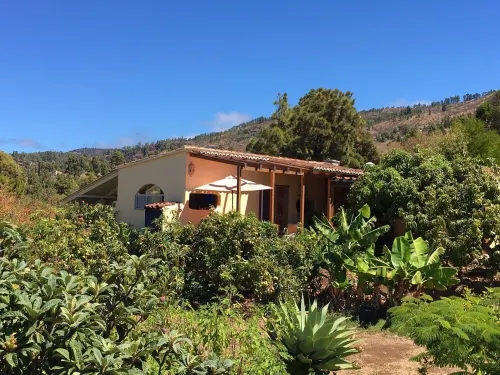 Quiet, cozy vacation home in an orchard. Hiking trails from the house