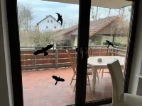 Apartment in Hallstadt by Bamberg the world heritage City Hotels in Hallstadt