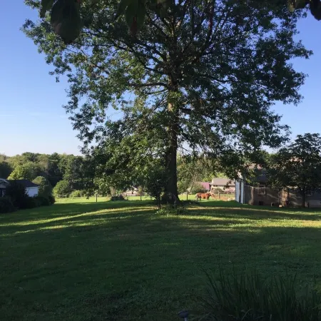 Cozy Country Apartment in Heart of Geauga County