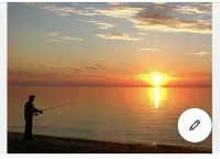 Deal Island Bay Cottage