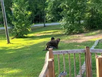 Super clean 7 mile from downtown Newberry safe quiet home Best Deal Around Hotels in Newberry County