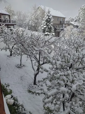 Cozy 2-bedroom apartment in enchanting Elk Ridge with AC, WiFi cottage feel