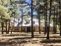Special 195 Per Night Price Feb. 28-March 5