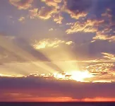 Garden, Ocean-Views, Dog Friendly, A/C.