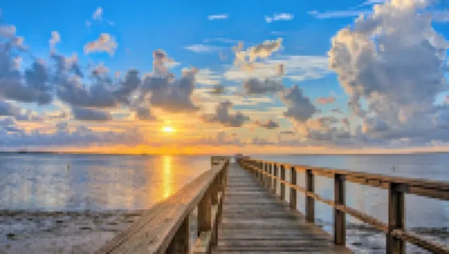 Romantic Escape; Open Gulf View; Your Own Private Dock!  Elevator to master.