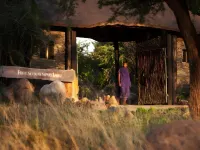 Four Seasons Safari Lodge Serengeti
