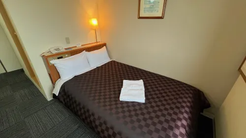 Royal Inn Station Plaza - 3-Star