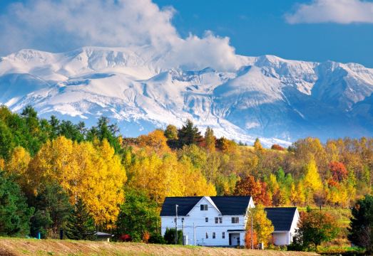 Western Style Western Style St의 외관 또는 내부 공간