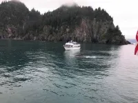 4Bears- Quiet, Central to Fishing & Activities. Hotels in Kalifornsky