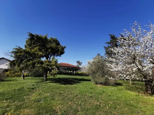 Gaillac House Hotels in Gaillac