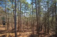 Darling HSV Home just minutes from Main Gate!