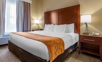 Comfort Suites Jonesboro University Area