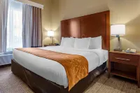 Comfort Suites Jonesboro University Area Hotels in Jonesboro