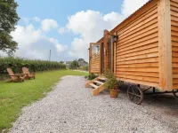 Cariad Mawr Hotels in 