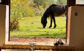 Atlas Farmhouse Marrakesh