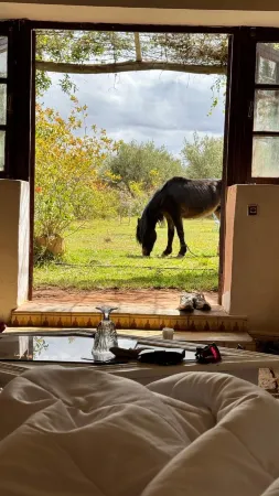 Atlas Farmhouse Marrakesh Отели в г. Tahnaout